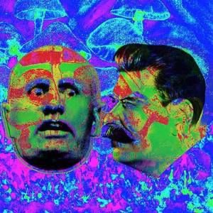 Meet your Posher, Troy